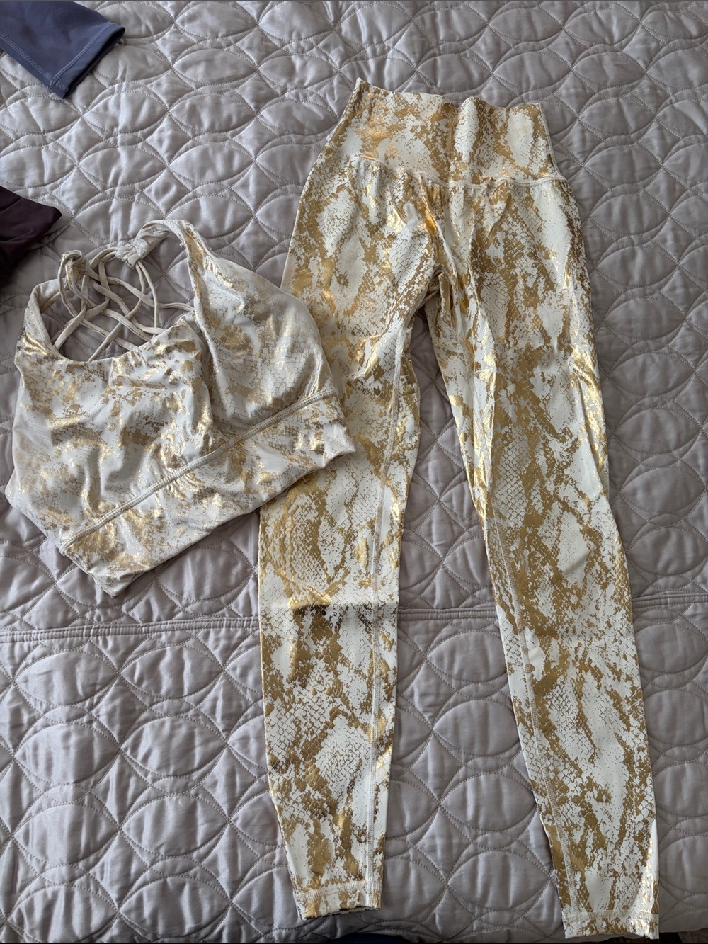 Buffbunny Snakeprint Leggings & matching Sports bra